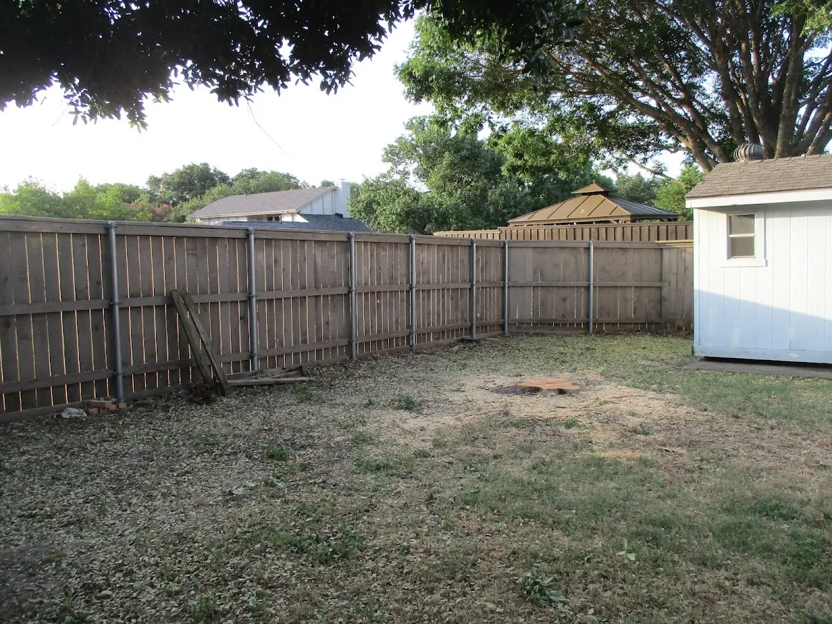 Cleared yard after professional tree removal in Valatie